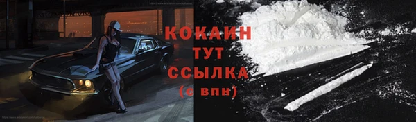трава Беломорск