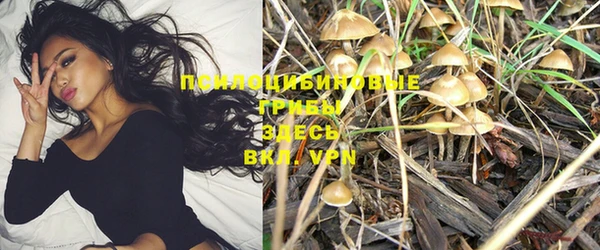 ПСИЛОЦИБИНОВЫЕ ГРИБЫ Белоозёрский