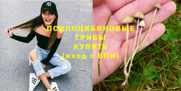 ПСИЛОЦИБИНОВЫЕ ГРИБЫ Белоозёрский